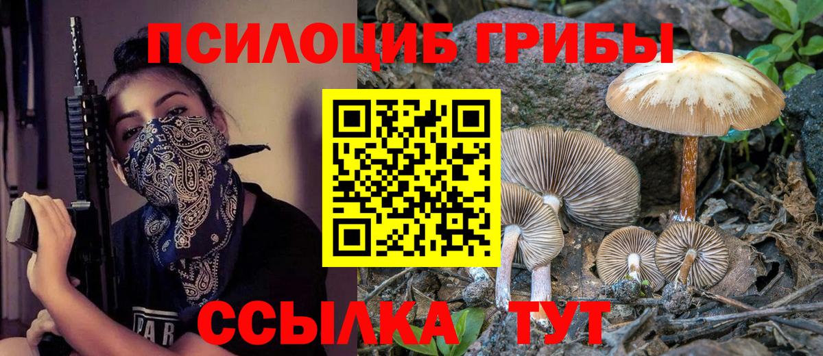 Саянск  Галлюциногенные грибы MAGIC MUSHROOMS  Галлюциногенные грибы Magic Shrooms  Вход с VPN 